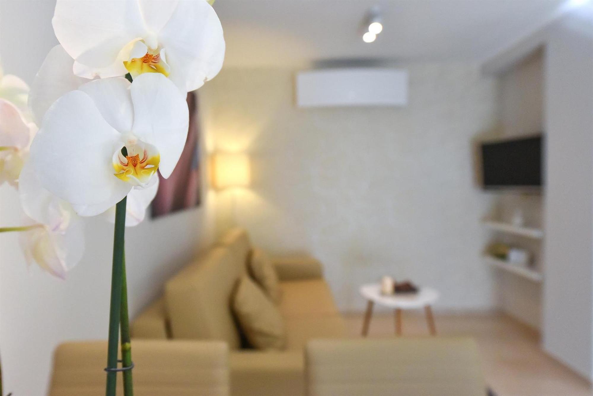 Villa Slavica 1 보디체 객실 사진